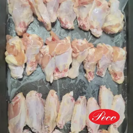 ALITA MISSCUT 18.14kg