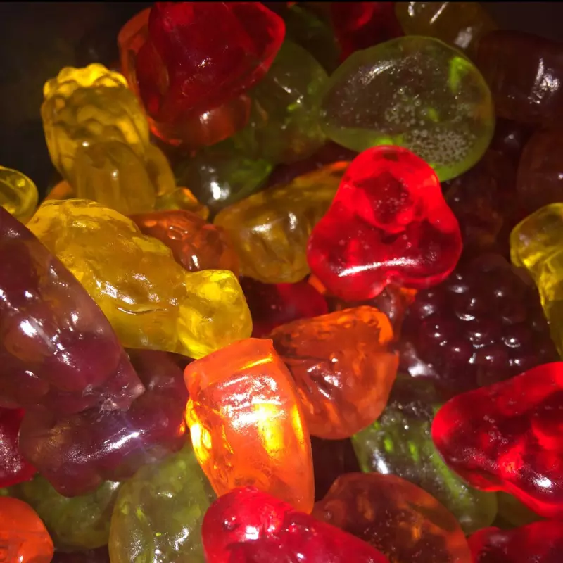 Fruta sin Azucar 100 gr