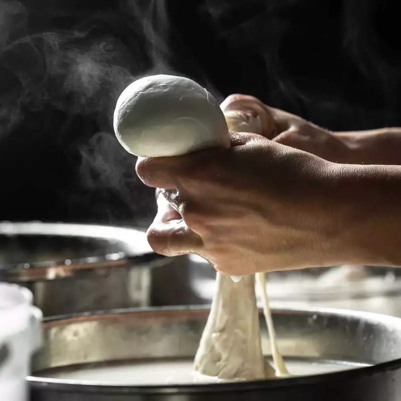 Live mozzarella show