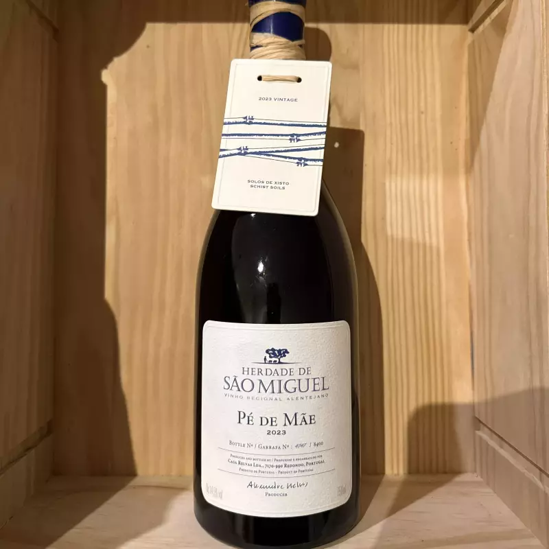 São Miguel Pé de Mãe 2023