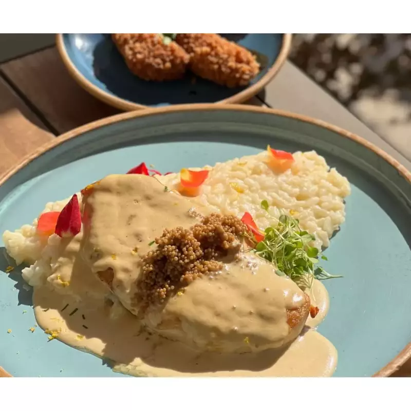 File de Frango ao molho de mostarda