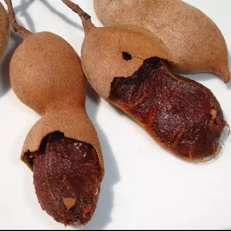 Suco de Tamarindo
