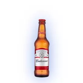 Cerveja Budweiser 330 ml