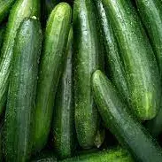 PEPINO MALLA 1.5 KILOS