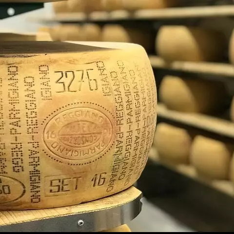 RODA DE PARMEGIANO REGGIANO