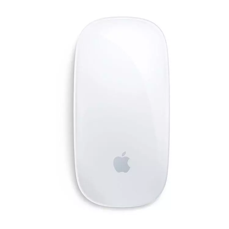 Magic Mouse 2