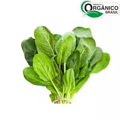 Espinafre Horenço maço