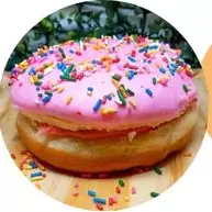 Homer Premium