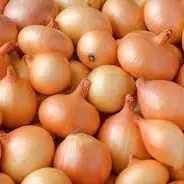 CEBOLLA MENUDA MALLA 1 kILOS