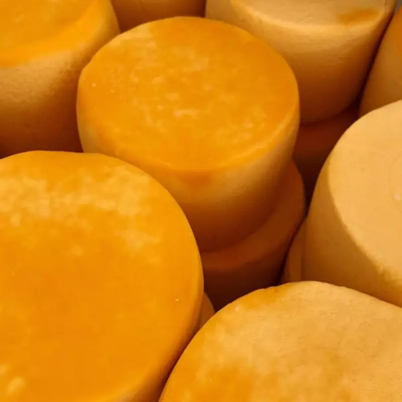 Queijo Cobocó Artesanal 500g