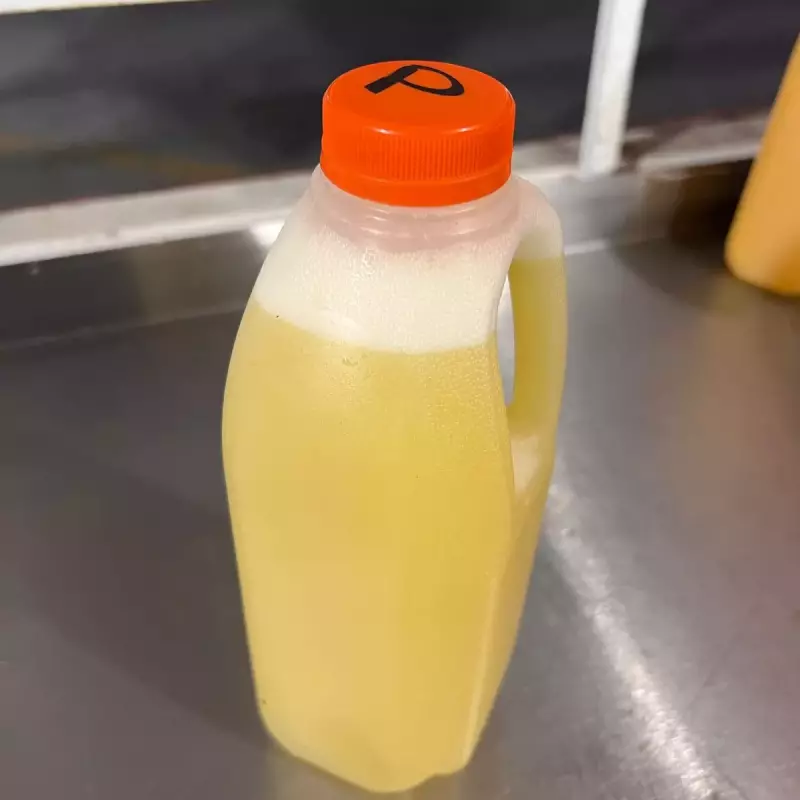 Agua natural de piña 1L