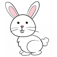 Animais de estimação / PETS