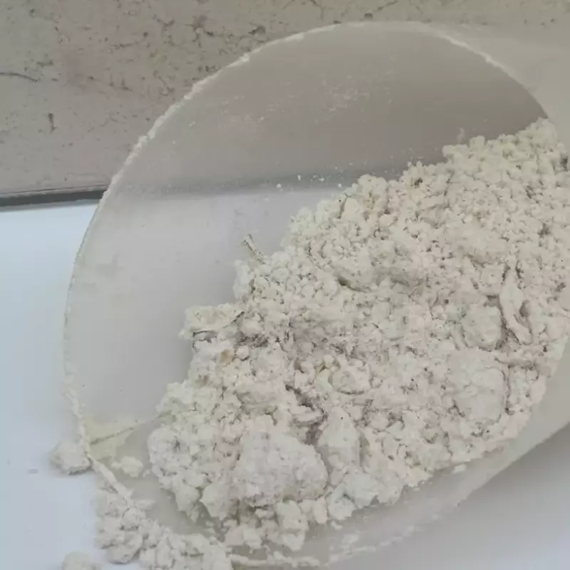 Creme de cebola