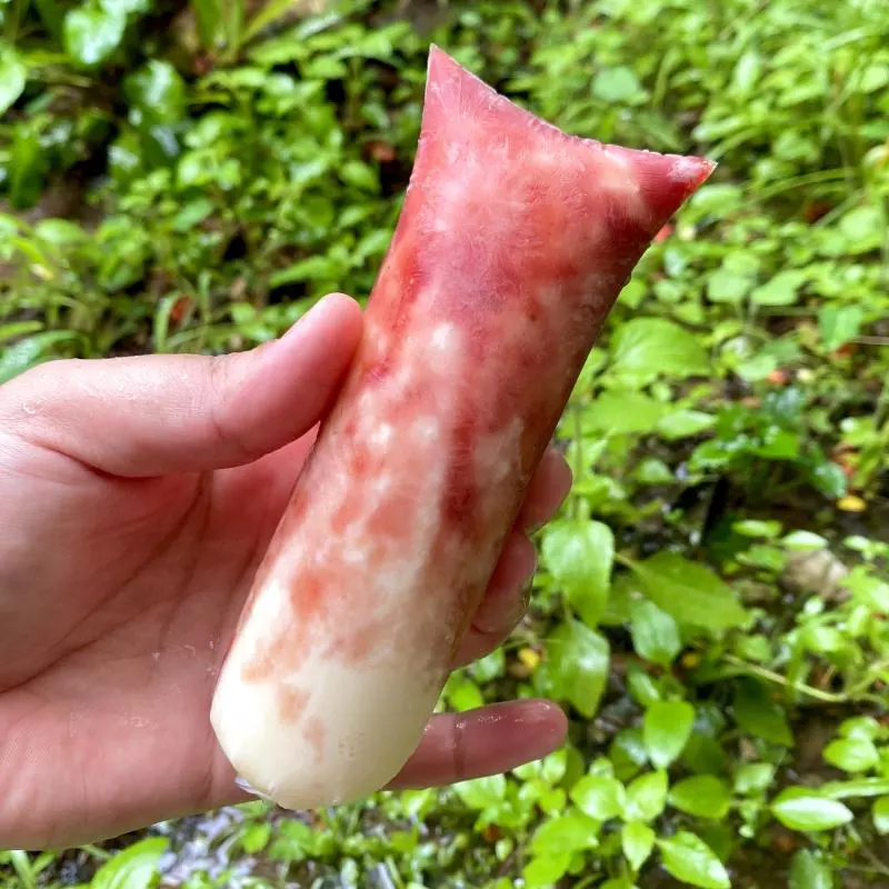 Ninho com Geleia de Morango