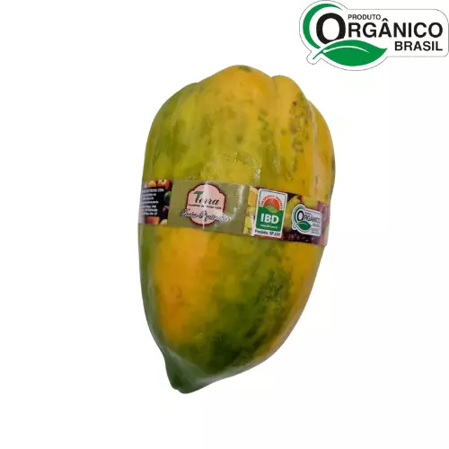 Mamão Formosa Orgânico
