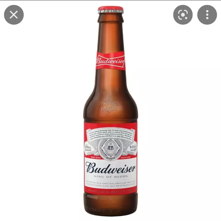 Cerveja Budweiser  33cl