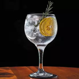 GIN TONICA TRADICIONAL