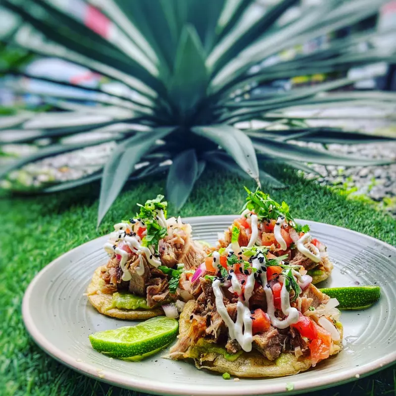 Tostadas de carnita