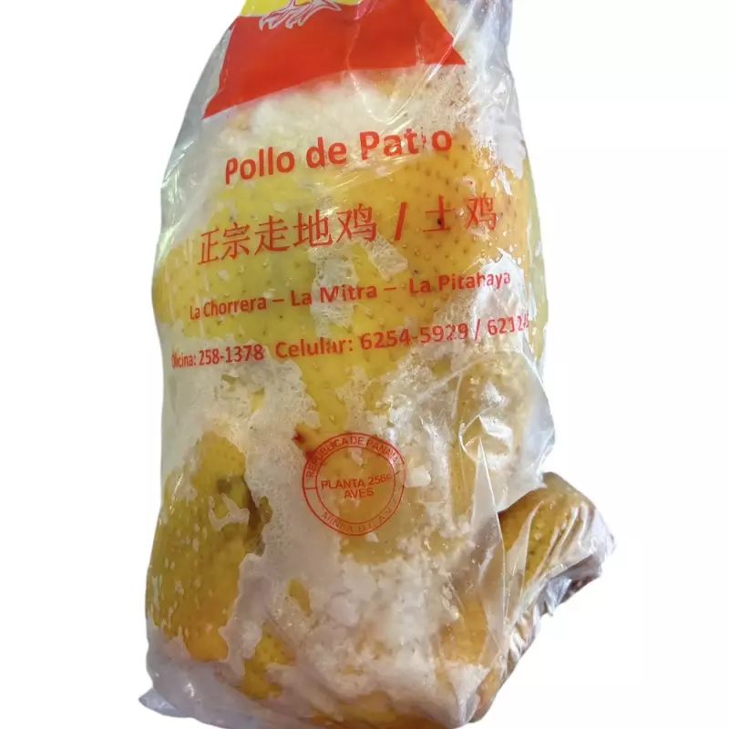 正宗走地土鸡 gallina patio