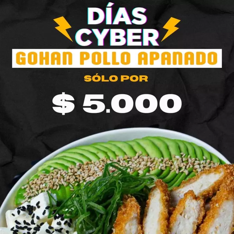 CYBER GOHAN POLLO APANADO