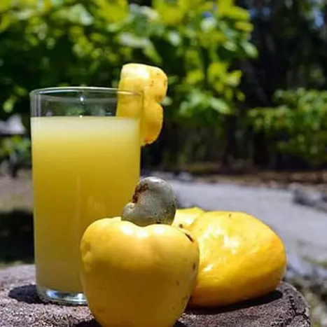 CAJÚ