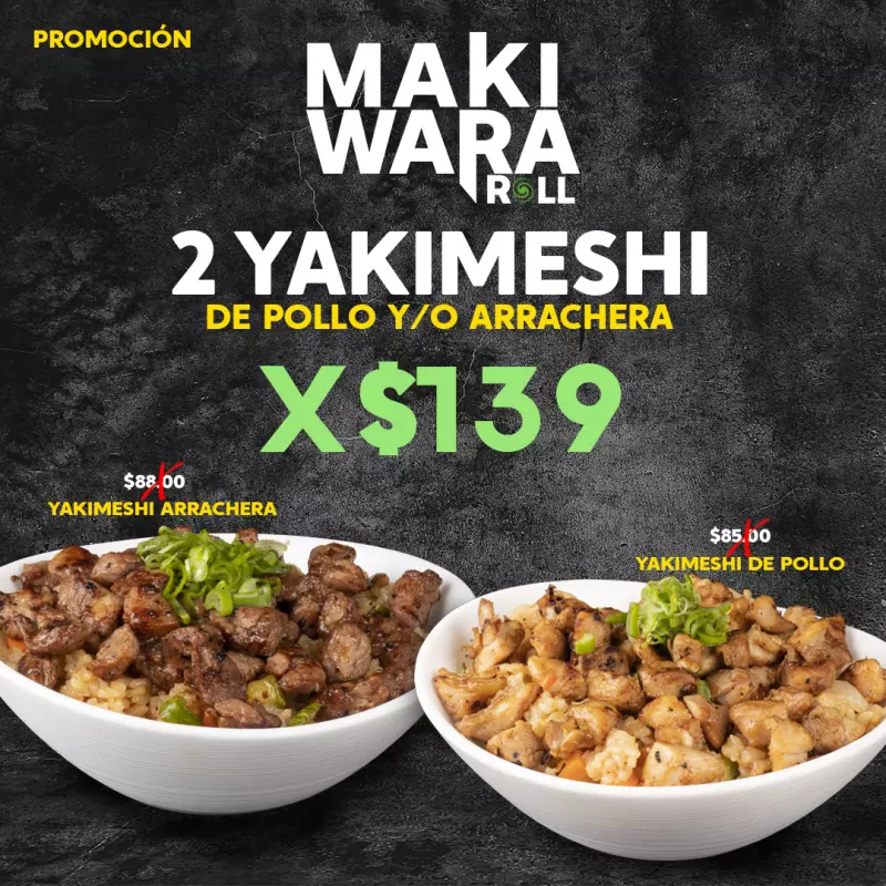 Gohan y Yakimeshi con pollo los 2 x