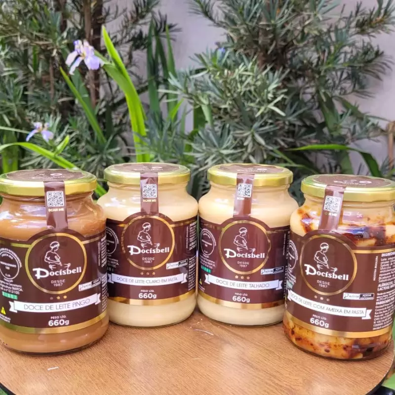 DOCE DE LEITE 660G SABORES
