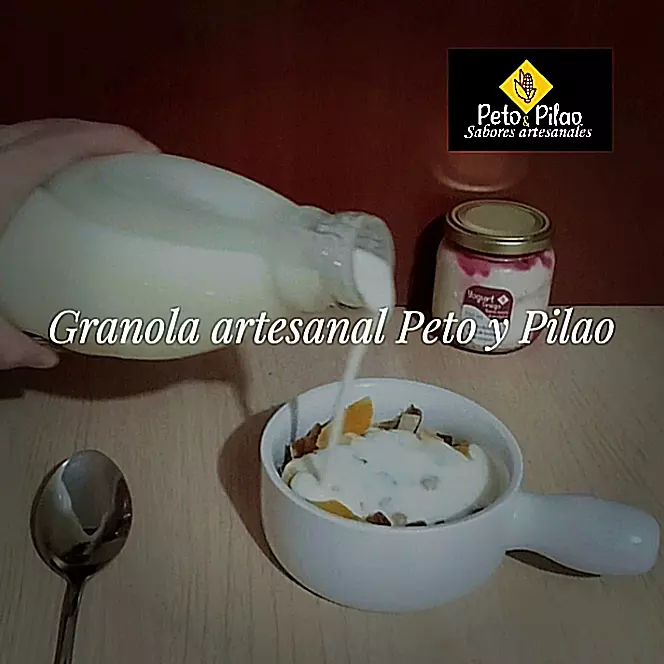 Yogurt probiótico con granola artes