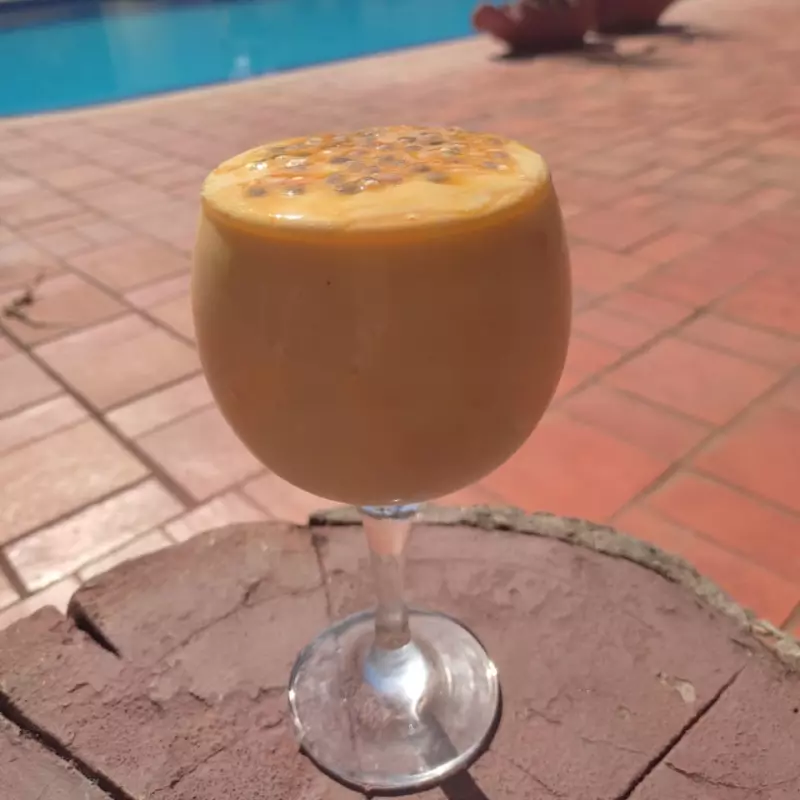 BATIDAS COM CACHAÇA OU WODKA