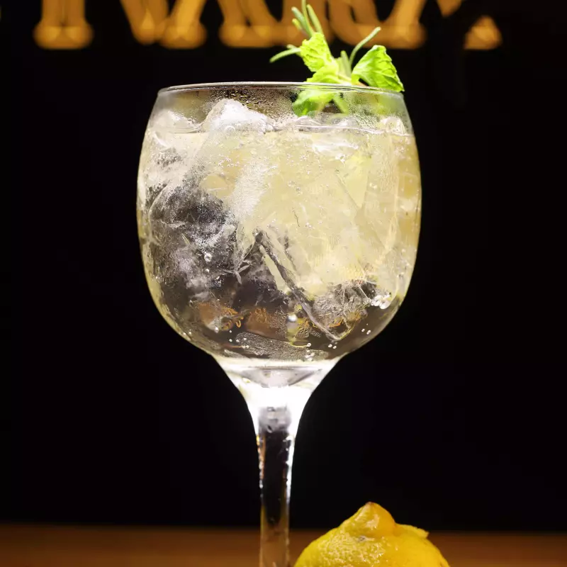 Gin Tônica