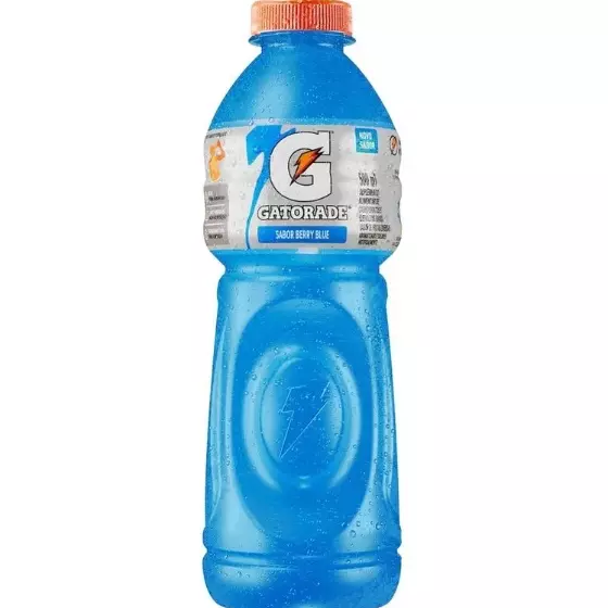 Gatorade Blueberry 500ml