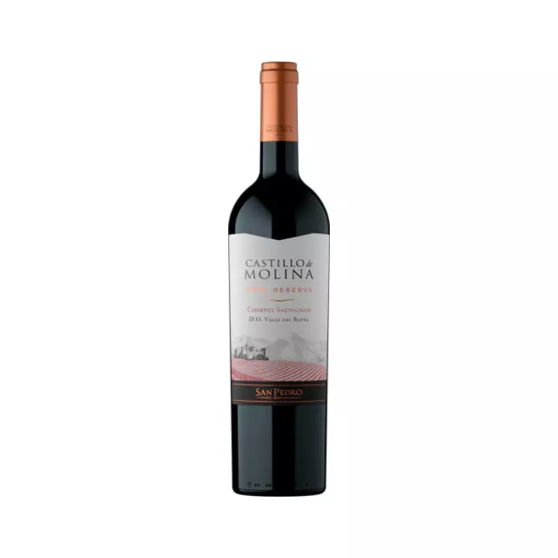 Vino Castillo de Molina Cab. Sauv. 1