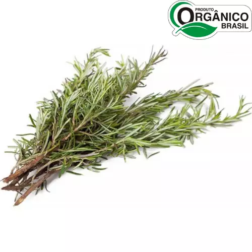 Alecrim Orgânico Maço