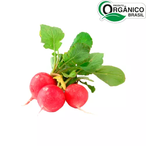 Rabanete Orgânico