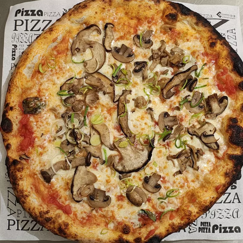16. Funghi