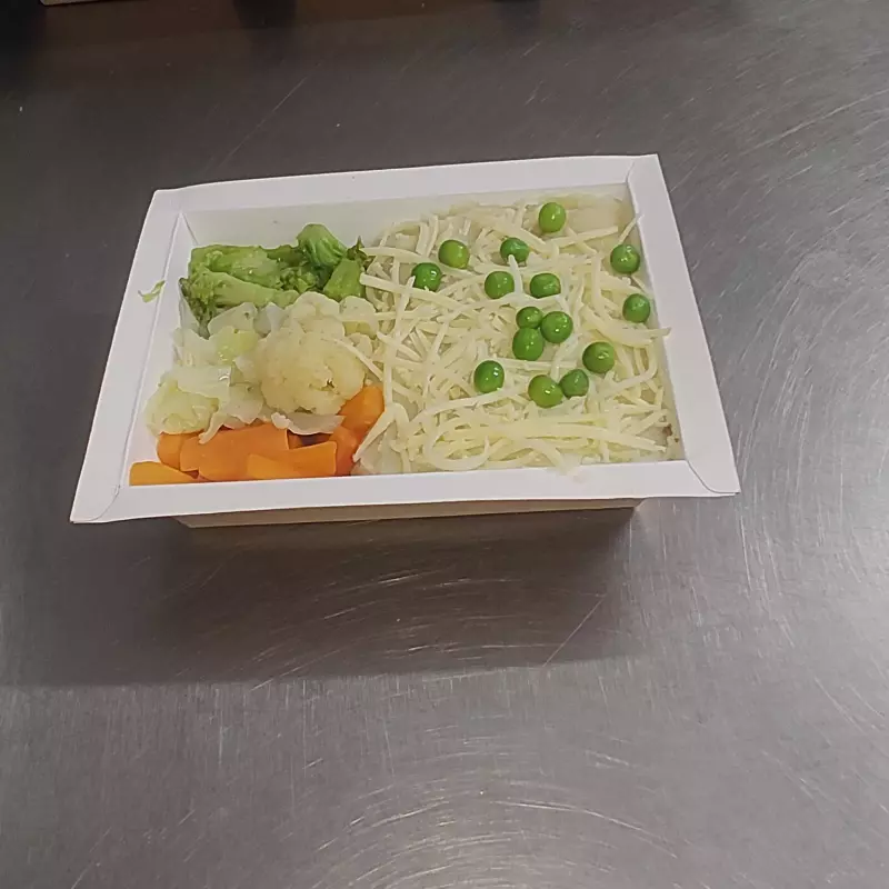 004F Escondidinho Frango (FIT)