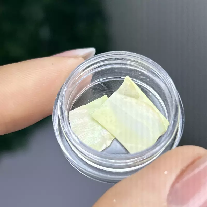 Madrepérola N•147