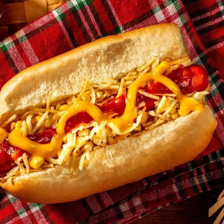 Cachorro master no prato