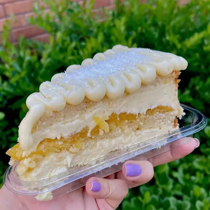 FATIA DE TORTA DE COCO COM ABACAXI
