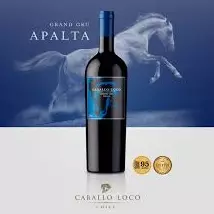 Caballo loco apalta