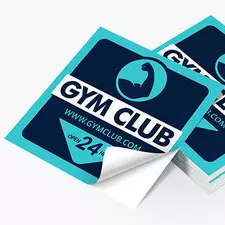 Stickers de Vinyl Cuadrado 500 pzas