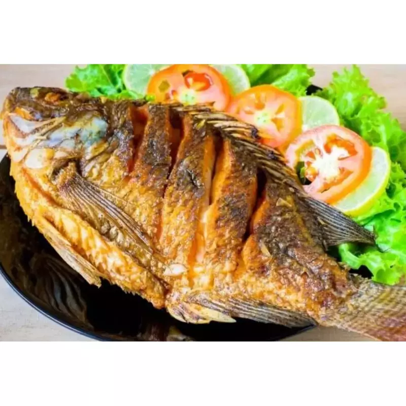 Peixe Tilápia