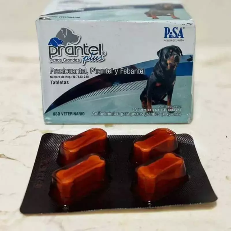 Prantel Plus