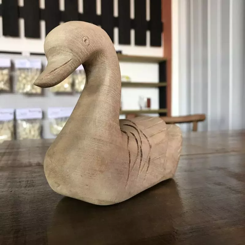 Cisne