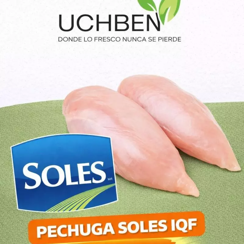 PECHUGA SOLES IQF 10KG