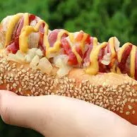 hot dog normal