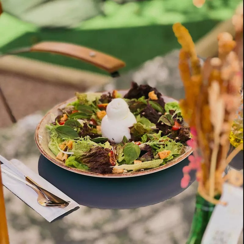 Salada Tekoá (com burrata)