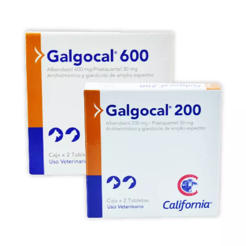Galgocal