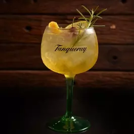 Gin Tropical c/ Tanqueray