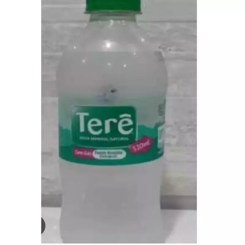 Água Terê COM GÁS 510ml